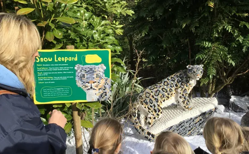Reception amazed by Chester Zoo lego exhibition