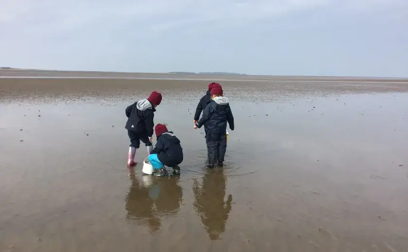 Year 2 take learning to the beach